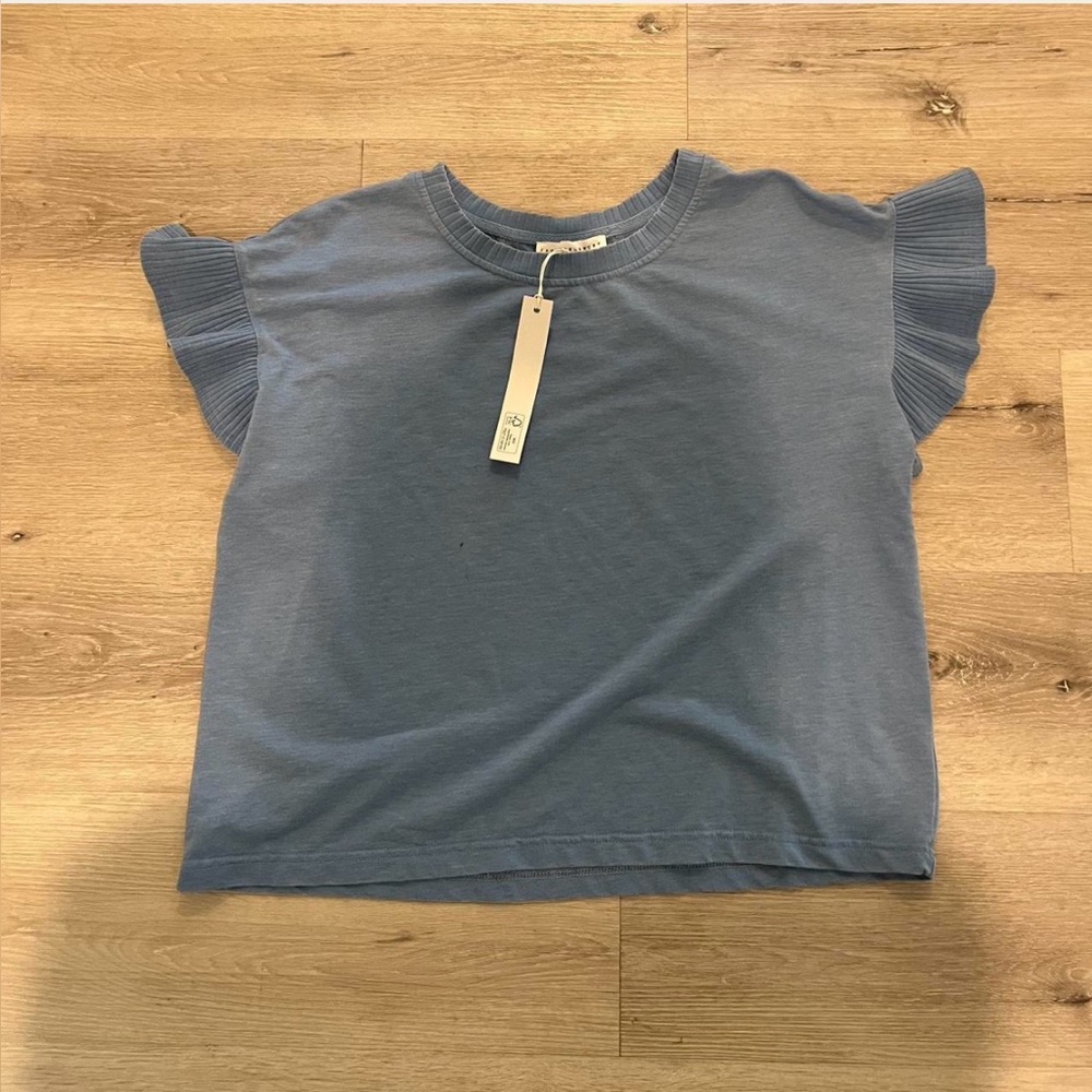 Blue Ruffle Sleeve Top